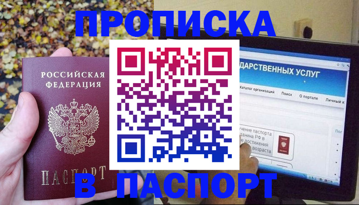 временная регистрация госуслуги в Благовещенске